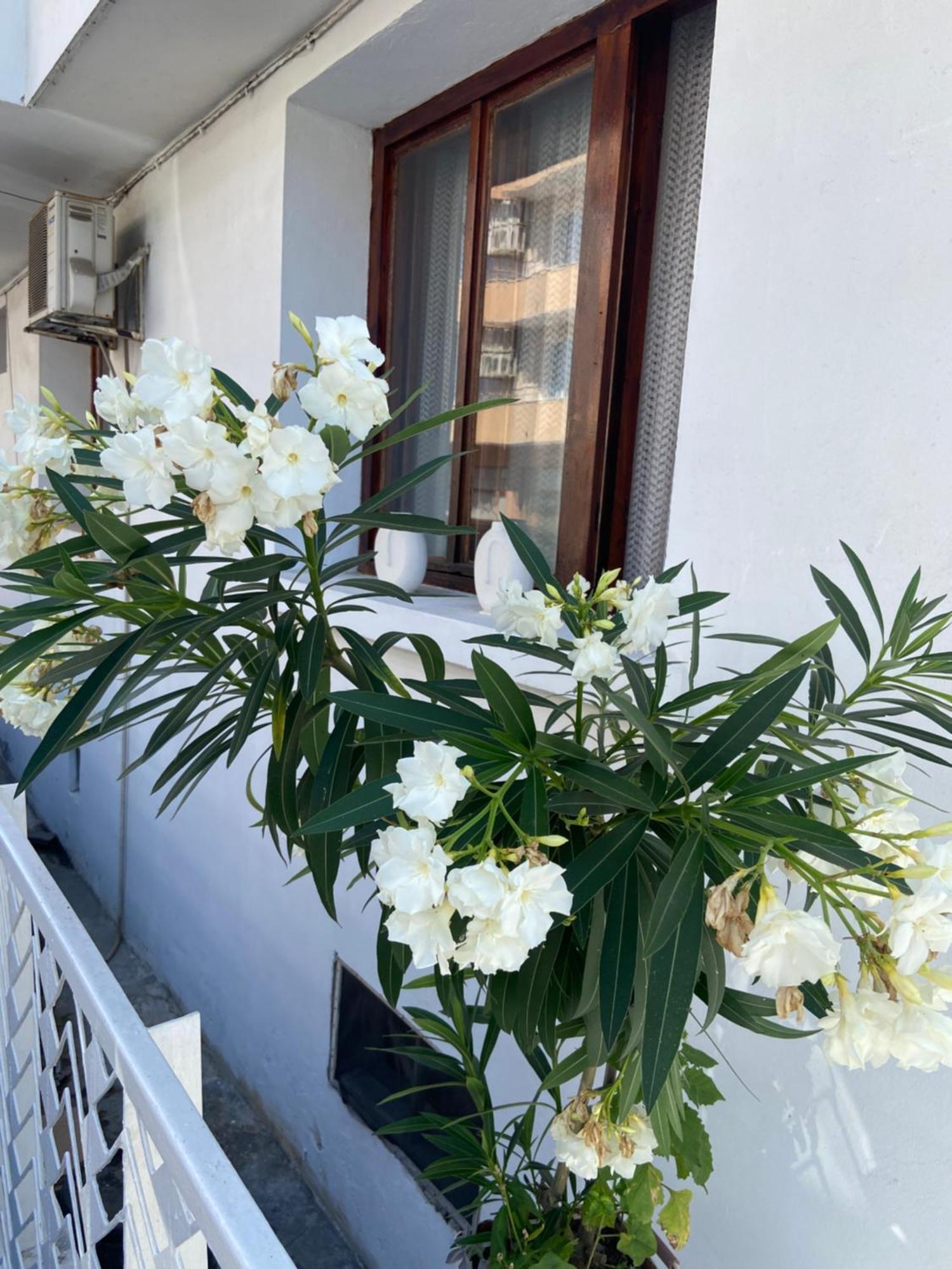 Guest House Hei Taka Созополь Экстерьер фото